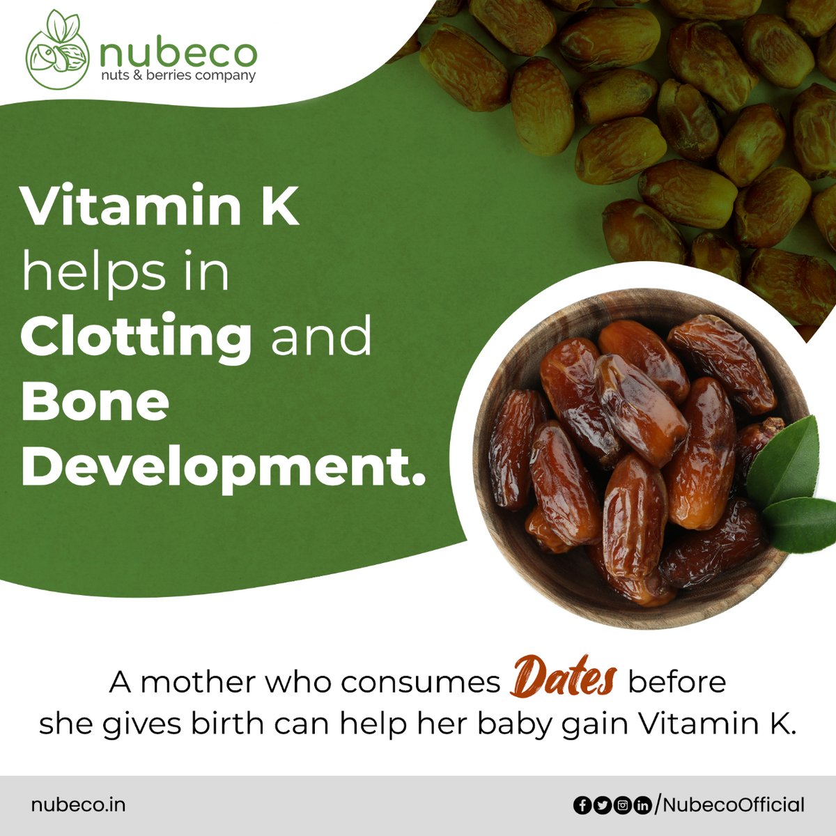 NubecoOfficial's tweet photo. #Dates are a source of appropriate nutrients to keep a "Mommy-to-be" healthy.
Give optimal levels of #nutrients to the little guest with #nubeco #Dryfruits.
#PremiumDryfruits #Mazafatidates #Organicdates #khajoor #healthyeating #dryfruitsonline #chemicalfree https://t.co/j67xzAcqNd