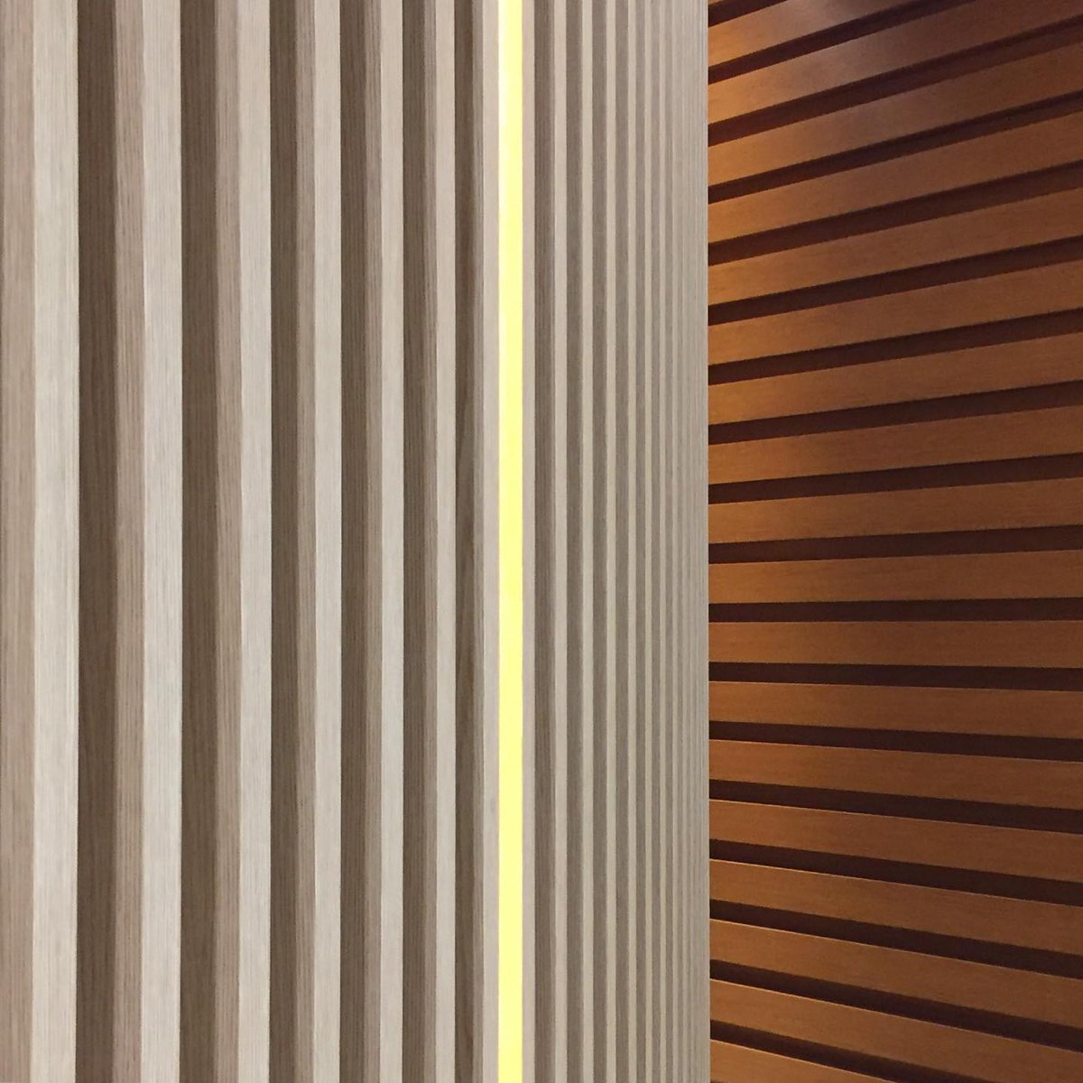 Patterns of Life NFT tweet media