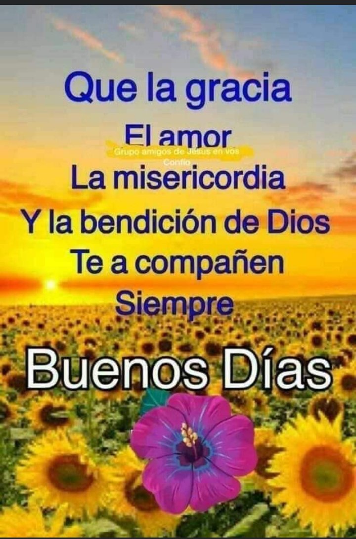 analauraoso65's tweet photo. https://t.co/Xgl8Nj5u9v