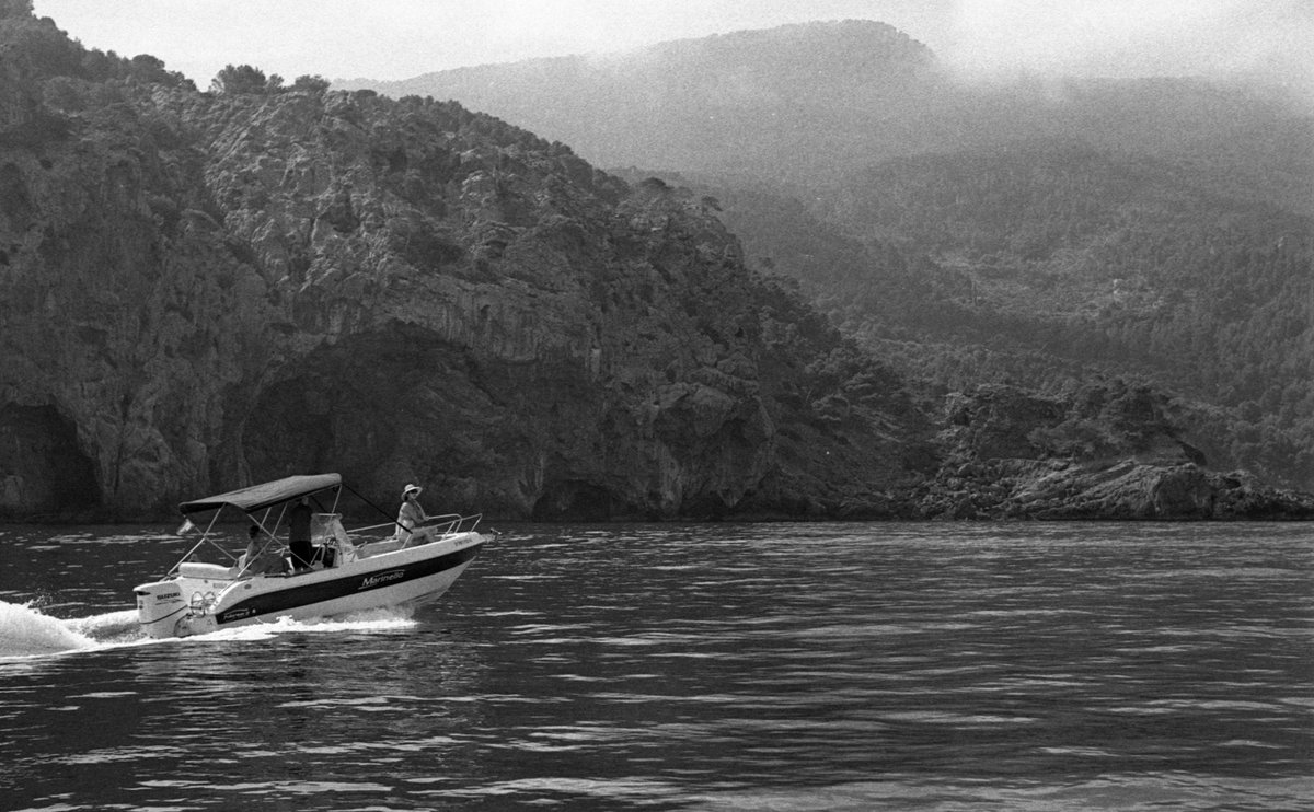 'Jurassic Park'. Shot in Mallorca on <a href="/ILFORDPhoto/">ILFORD PHOTO</a> HP5 with a nice #CarlZeiss Jena 50mm f2.8.
#filmphotography #NFT