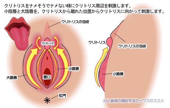 _cherry_h_'s tweet photo. 【栗の舐め方】
焦らされて興奮するタイプの子と焦らされてしらけちゃうタイプの子がいるんだけど、興奮するタイプだったら栗を舐めそうで舐めないように刺激して。私はそれでめちゃくちゃに濡れちゃうタイプ。 https://t.co/TYWACNkMXG