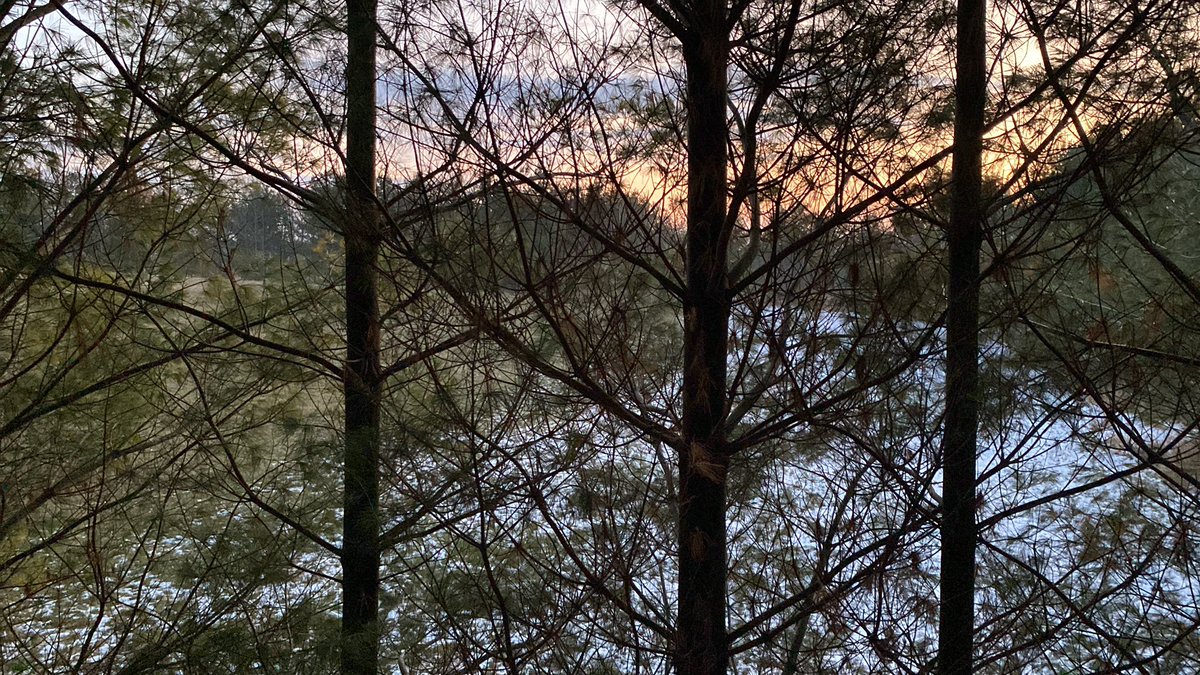 JonnyTimm's tweet photo. One of my favorite times of the year, getting away from the hustle and bustle of the world and being able sit back and enjoy nature. Hopefully some meat for the freezer too #gunhunt #Wisconsin https://t.co/niZEXmOqjW