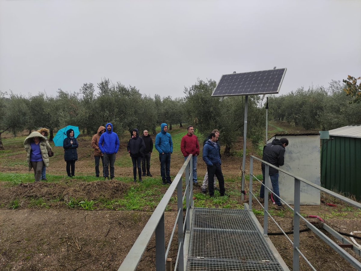 erosionlab_ias's tweet image. Great meeting with our colleagues at @IAS_CSIC.
Learning🔎, working 🔧 and... enjoying! 🫒
#RedSuelos
#soilprotection