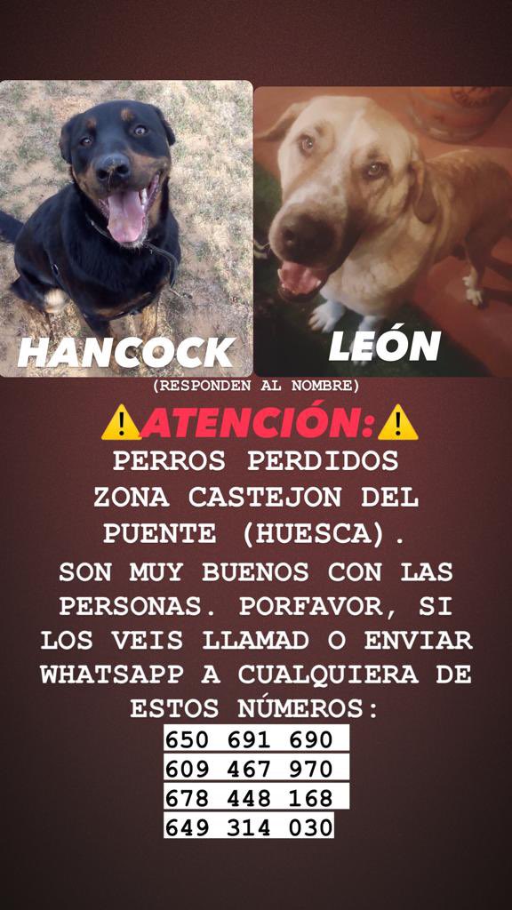 elda023's tweet photo. SE AGRADECE DIFUSIÓN! https://t.co/tMB1SfPgzL