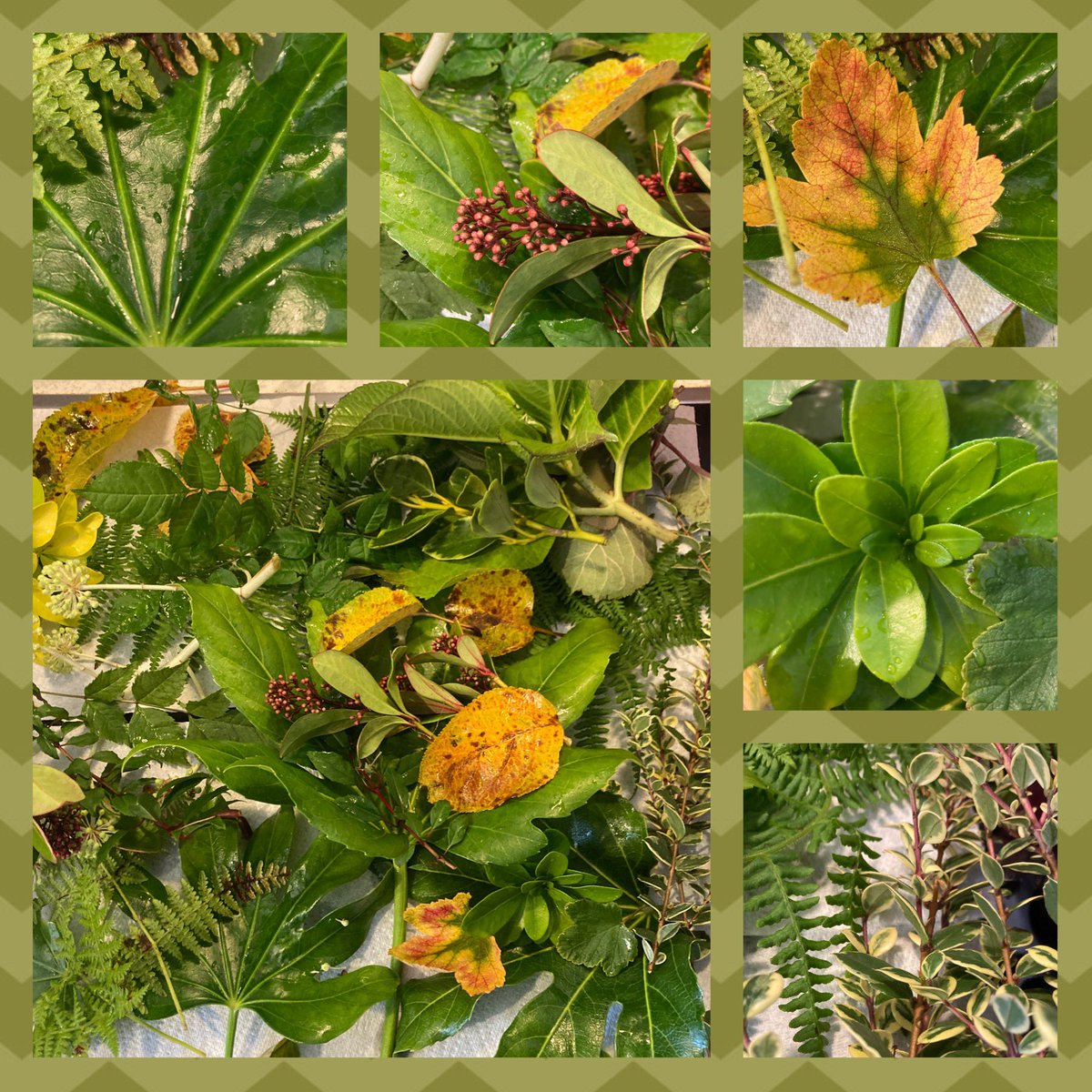 Emma Harding tweet media