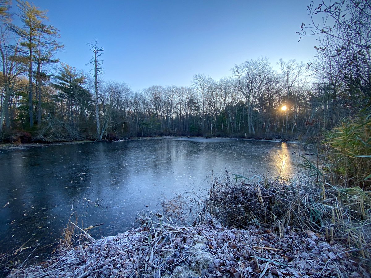 Shiri Spear on Twitter "RT sxvettech but chilly morning here in Wrentham! Lake