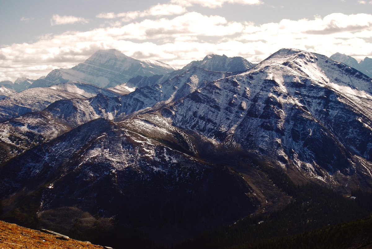 riddles 🇨🇦 tweet media