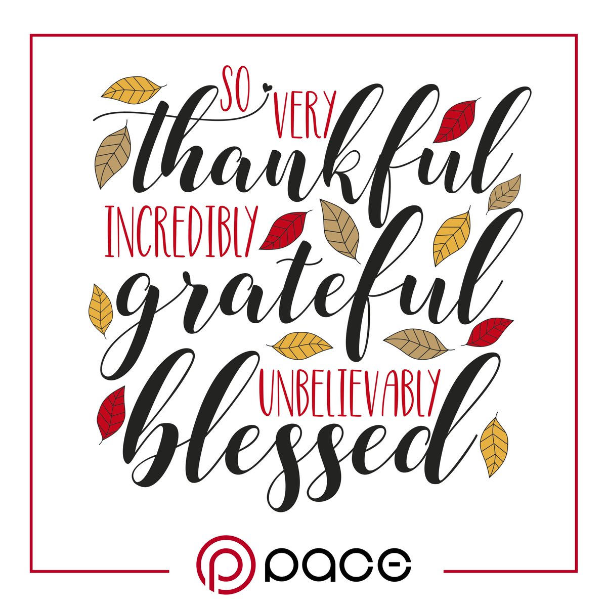 paceadv's tweet image. Happy Thanksgiving from your friends at Pace. May your day be filled with family, food, football, and fútbol. #thanksgiving2022 #thanksgiving #thankful