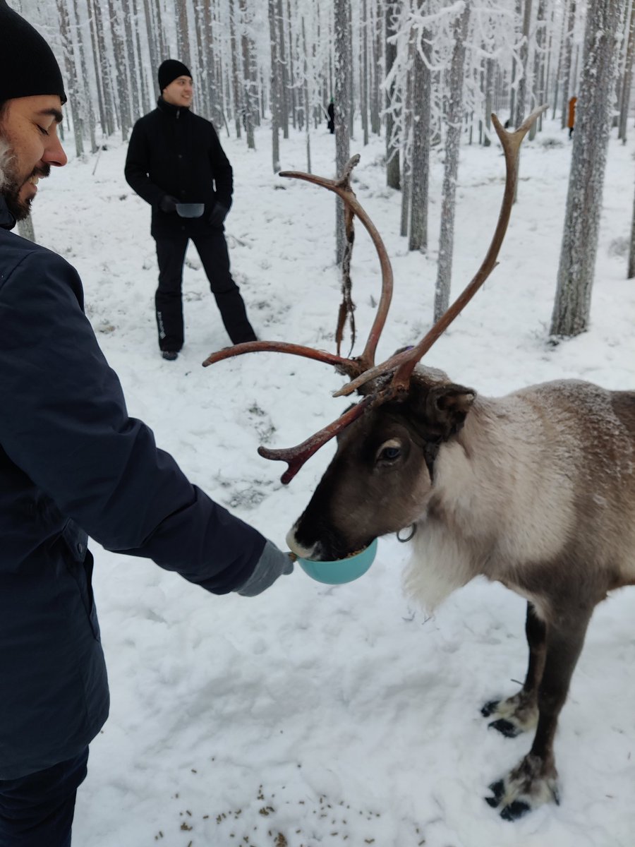 BcoTg's tweet photo. Afternoon non-scientific session was succes! Feeding and cuddling reindeers at reindeer farm Eanan Levi.🥰 Thank you for the amazing experience! More pics in comments!  #eananlevi #finndismice #visitlevi https://t.co/t5CVjkfJ4L