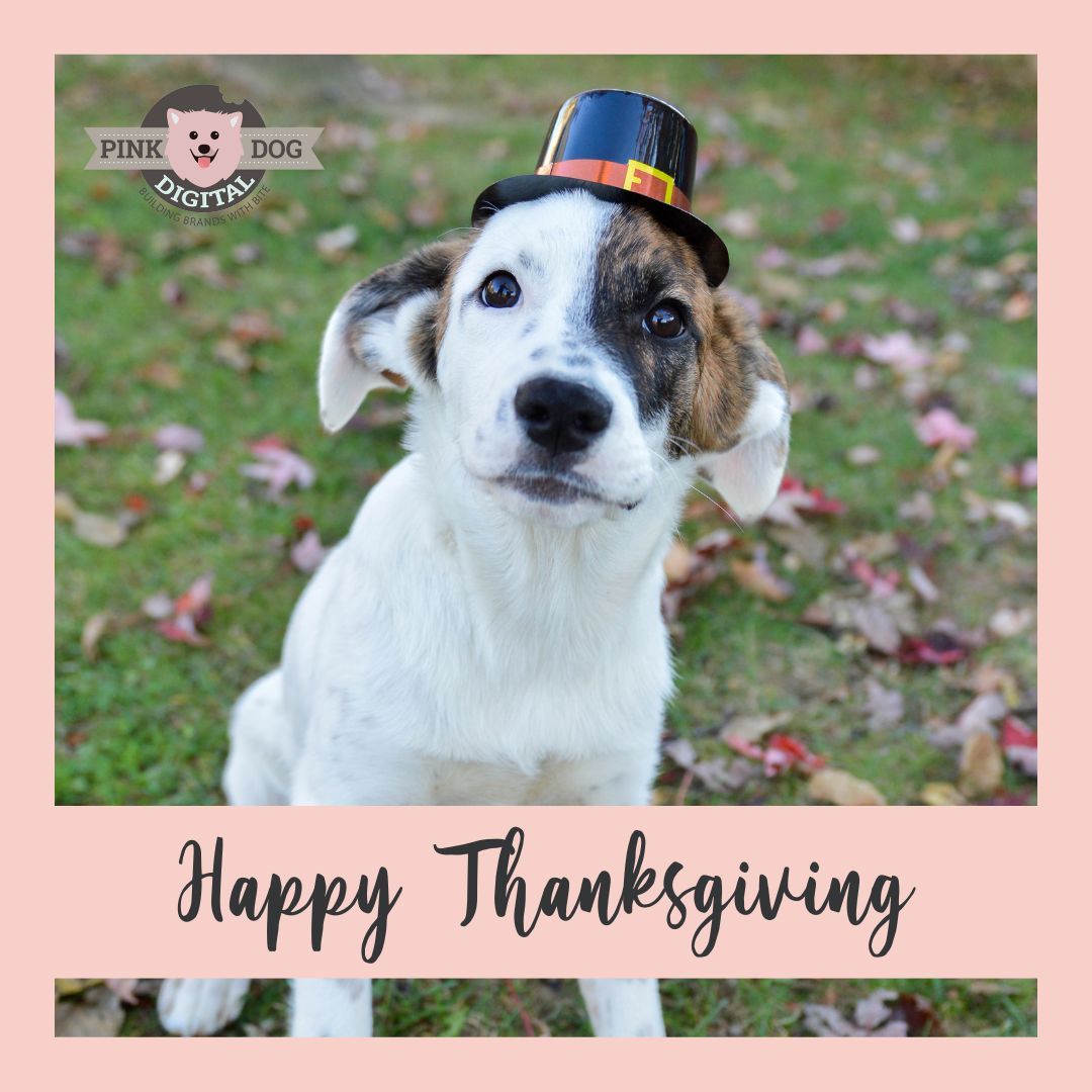 PinkDogDigital's tweet photo. Happy Thanksgiving from Pink Dog Digital!

#thanksgiving #thankful #baltimore #maryland #socialmedia #socialmediatips #brandswithbite #marketingfaq #smm #contentmarketing #blogging #marketing #webdevelopment #business #digitalmarketing #sem #socialmedia #brandswithbite https://t.co/k90l0Hl4n8