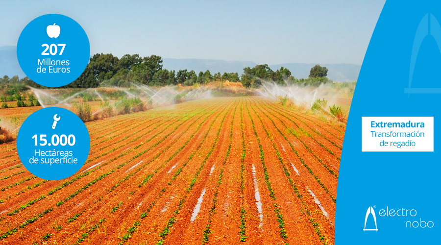 La @Junta_Agricultu da luz verde🟢 a uno de los proyectos agrícolas de más peso en Extremadura. El regadío💧 de Tierra de Barros está más cerca de ser una realidad. Nuestra más sincera enhorabuena a la Comunidad de Regantes de #TierradeBarros.
bit.ly/3F1fC17
