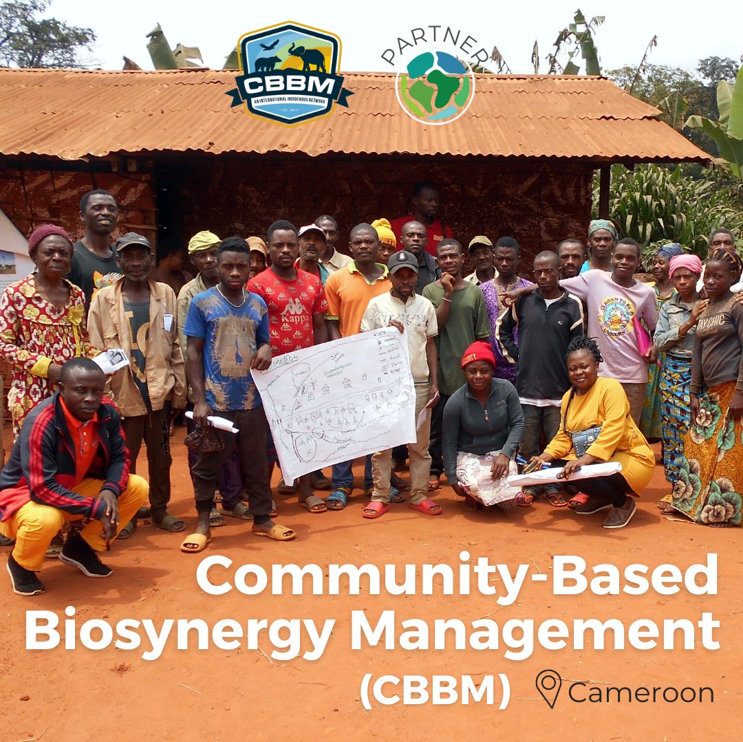 W_RainforestDay's tweet photo. @cbbm_cameroon is rooted in a person-centered approach to indigenous wildlife monitoring, community forestry, and landscape restoration.  

To get involved in CBBM’s critical impact on ecosystems and communities, consider volunteering or making a donation. https://t.co/8Nj3zP3OfN