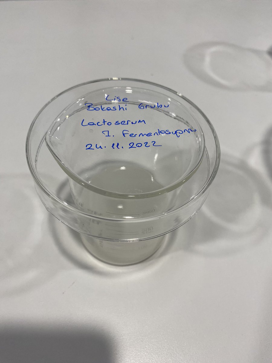 Bu yılki yeni Bokashi grubumuzla bilgilendirme toplantımızı yapıp kendi lactoserumumuzu yapmaya başladık. Amacımız çevre bilincine sahip bir nesil yetiştirmek🌱 çöp değil kompost ♻️ <a href="/mturanoznacar/">Mehmet Turan ÖZNACAR</a> <a href="/dincercitak/">Dinçer Çıtak</a> <a href="/melikekilic55/">Melike Kılıç</a> <a href="/BkOmerli/">BK Ömerli Kampüsü</a> <a href="/neriman_derya/">Neriman Derya</a> <a href="/kader_ulass/">Kader Ulaş</a>