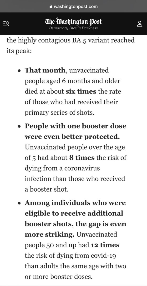 Lucid Frame Productions tweet media