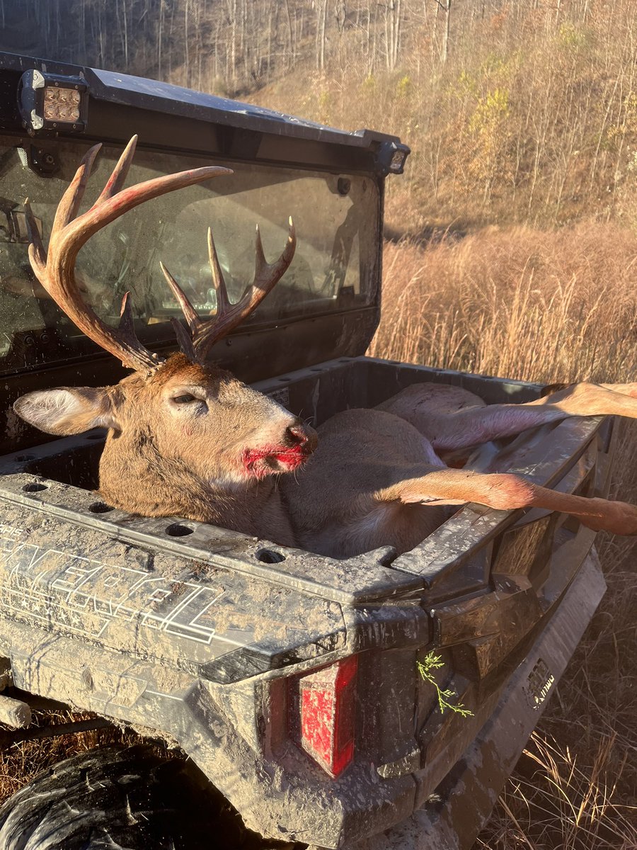 Booger🍊🇺🇸 tweet media