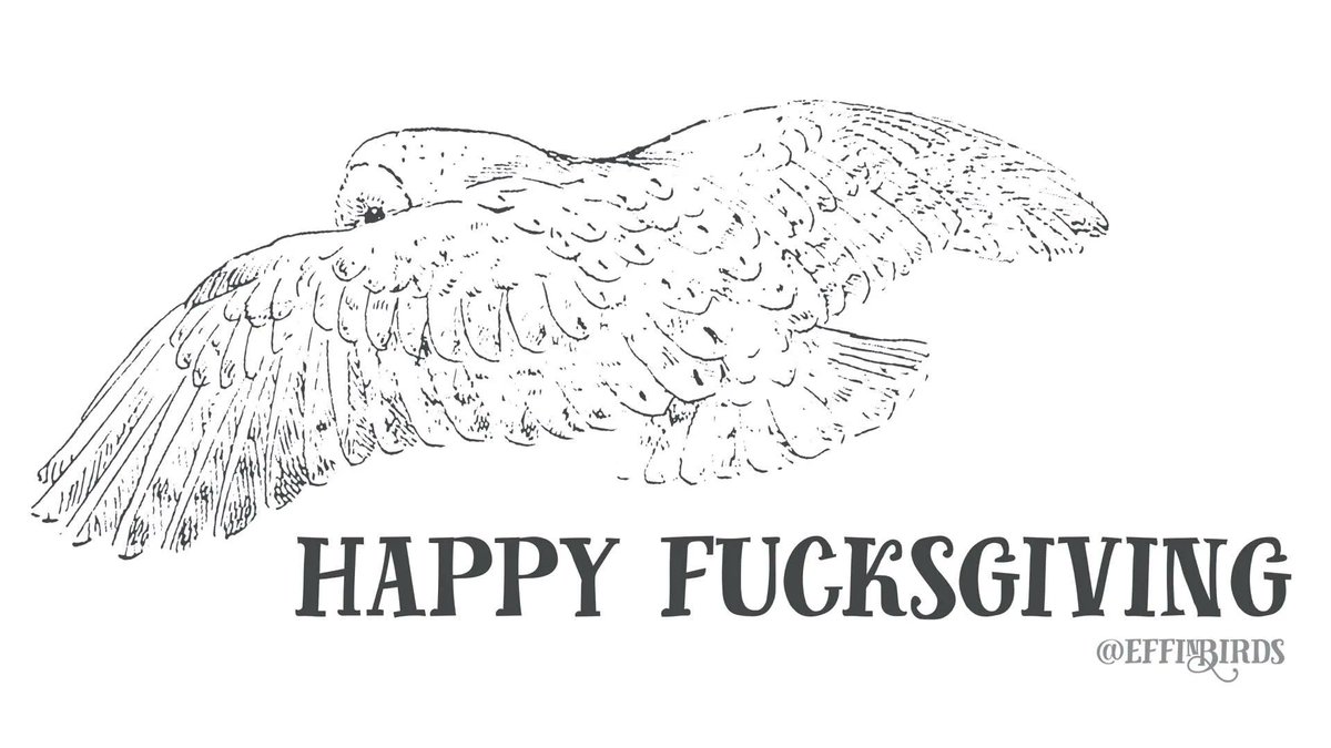 EffinBirds's tweet photo. https://t.co/MMegYrZUgb