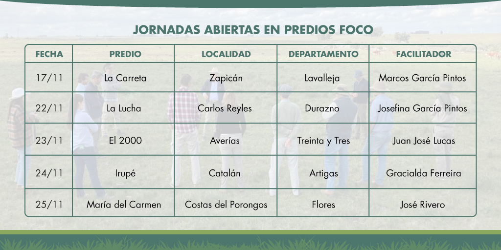 SUL_uy's tweet photo. 🛎️ Hoy 24 y mañana viernes 25 🐏 🌱 Continúan las actividades abiertas en el marco del Proyecto #sostenibilidad del ovino en sistemas ganaderos mixtos - Una mirada 360° 🗓️ #fpta360 👉 Artigas y Flores https://t.co/0ZpK0xf71M