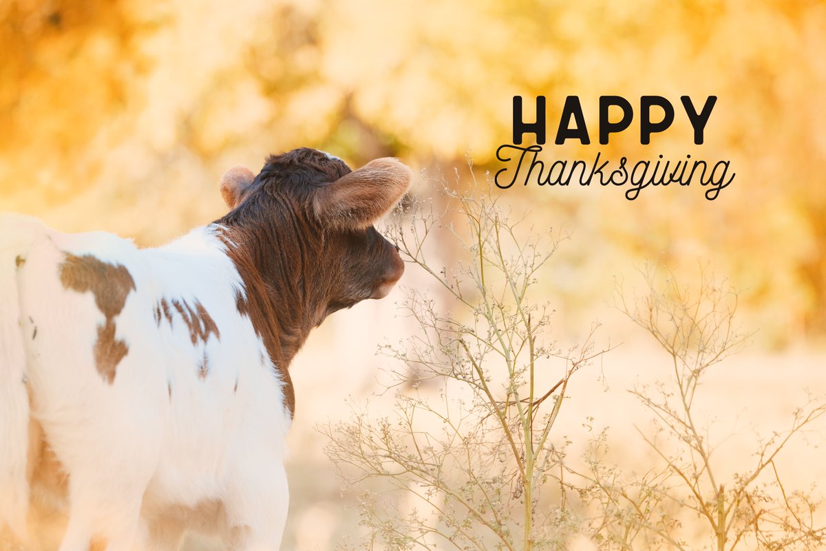Wishing everyone a Happy Thanksgiving!