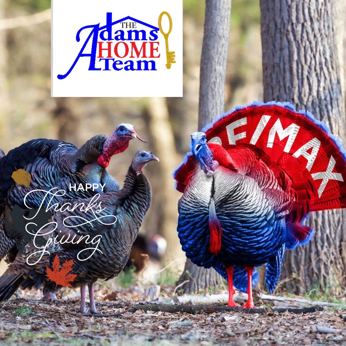 AdamsTEAM's tweet photo. Our hearts a full of gratitude for each and every one of you!  Whether near are far, share the LOVE!!!   #thanksgiving #familylove #realtor #lovemyjob #remaxagent https://t.co/q47b67z4mv