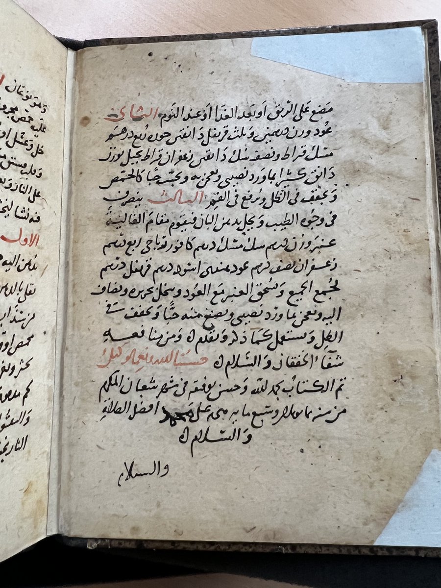 Leonie Rau tweet media