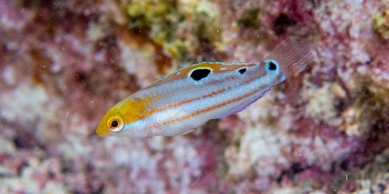 Luiz Rocha, PhD tweet media