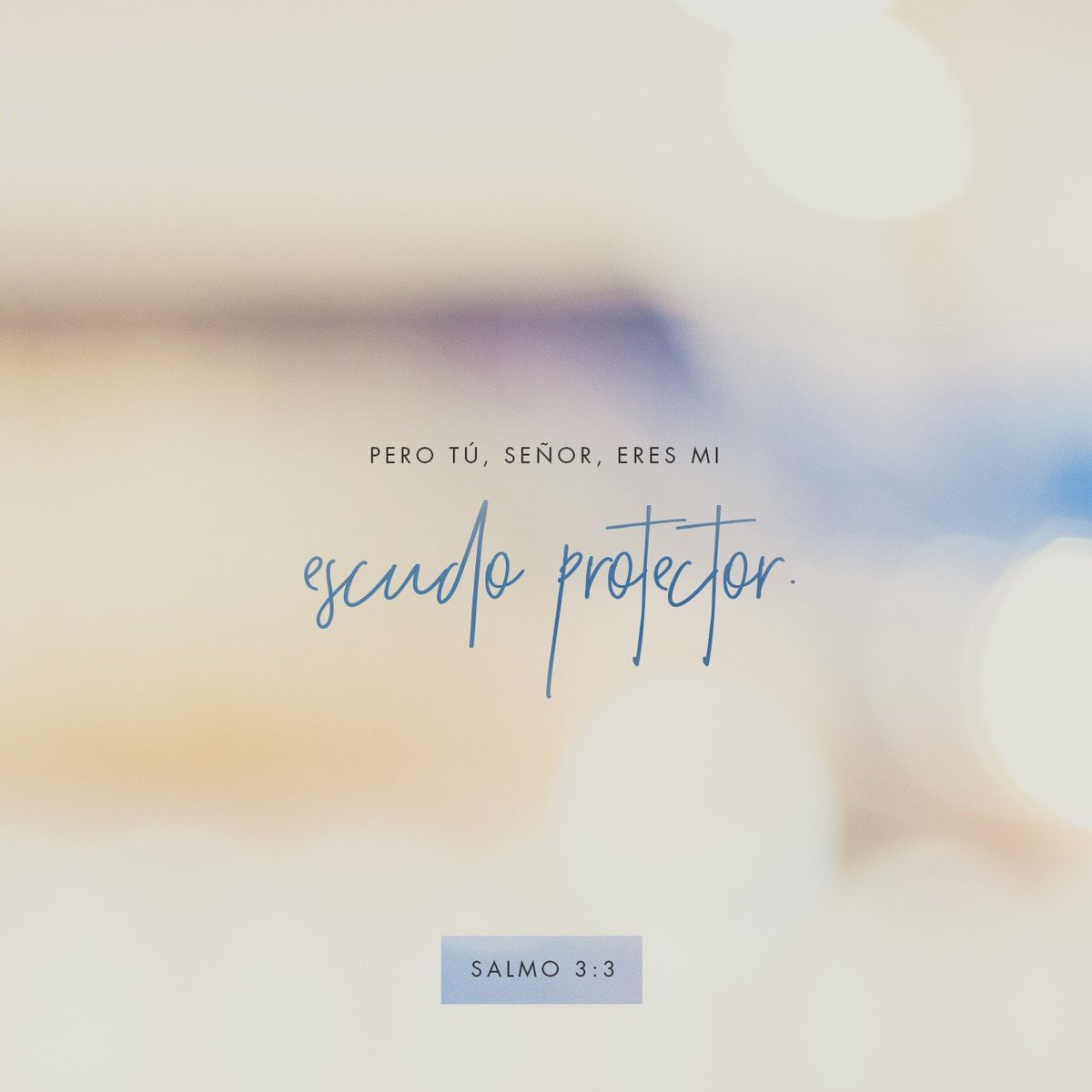 “Pero tú, oh Señor, eres un escudo que me rodea; eres mi gloria, el que sostiene mi cabeza en alto.”

Salmos 3:3 📖