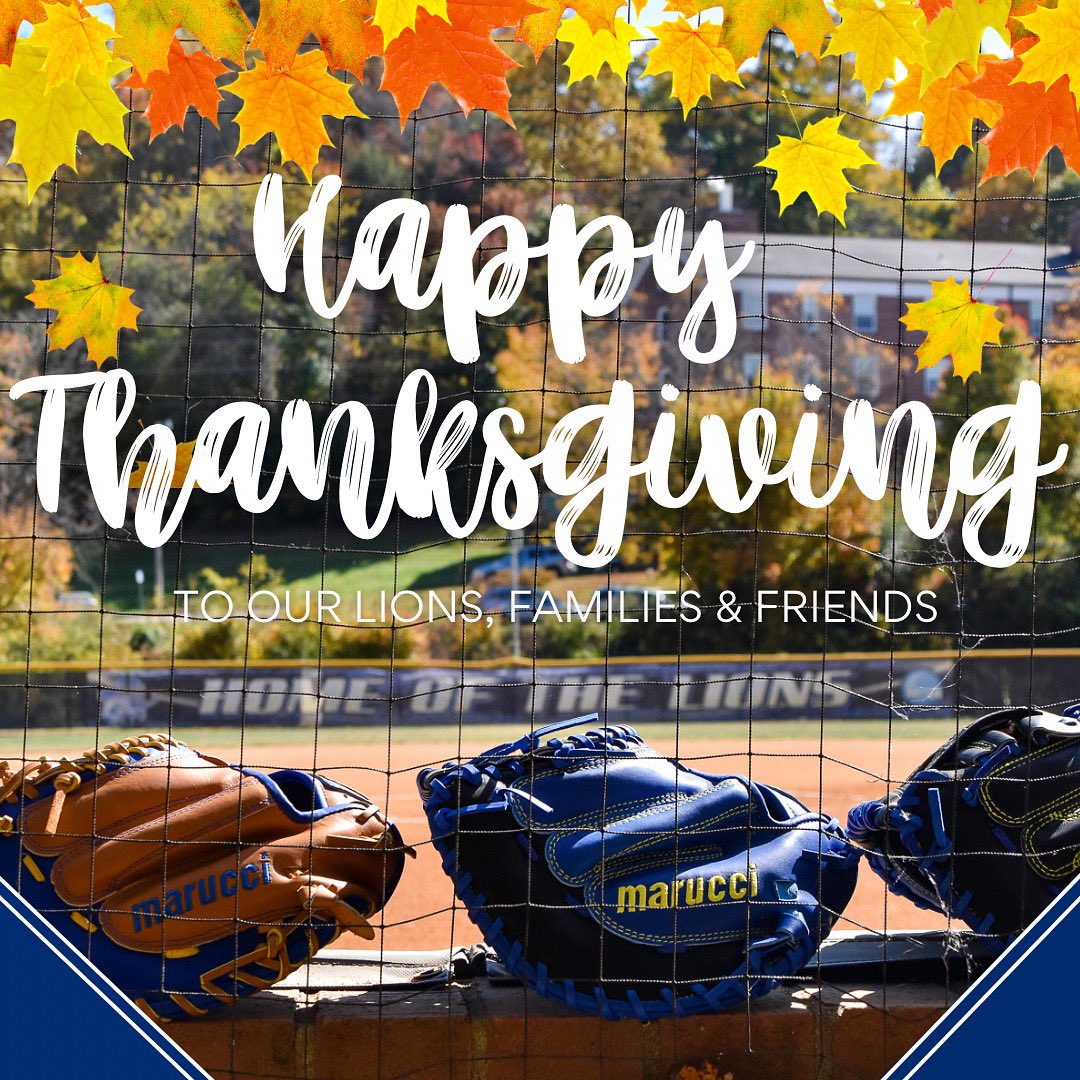 MHU_Softball's tweet photo. Happy Thanksgiving from MHUSB! 
.
We are grateful for our team, our coaches and all of the families and friends that support us along the way! 
.
ROLL HILL! https://t.co/hprPrlb1Us