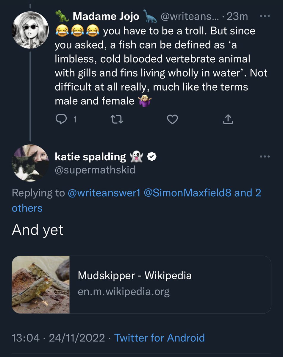 Luiseach's tweet photo. I’m here just drinking a cup of tea and Katie out here just straight up destroying people https://t.co/dBFeCMK4fd