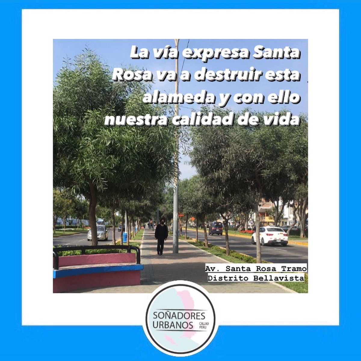 SonadoresCallao's tweet photo. Compartimos en esta oportunidad un registro fotográfico peatonal de la avenida Santa Rosa acompañado de una reflexión.

La avenida Santa Rosa atraviesa 03 distritos de la ciudad del Callao; Callao Cercado, Bellavista y La Perla.
Con más de 700 árboles y alameda que corren peligro https://t.co/BcxIVUIUTv