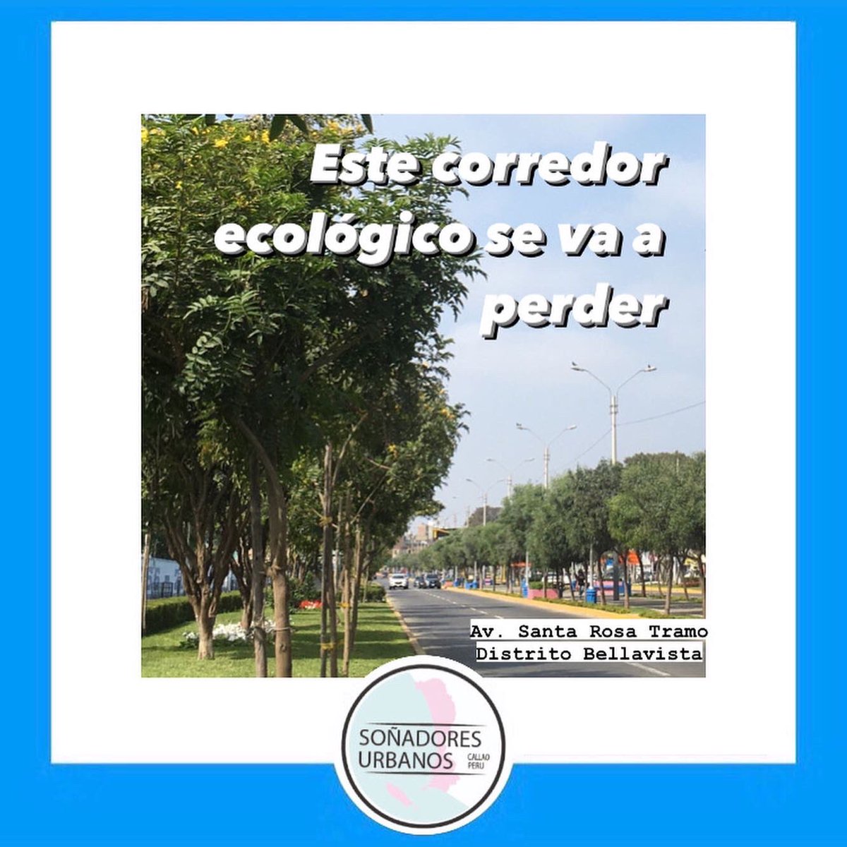 SonadoresCallao's tweet photo. Compartimos en esta oportunidad un registro fotográfico peatonal de la avenida Santa Rosa acompañado de una reflexión.

La avenida Santa Rosa atraviesa 03 distritos de la ciudad del Callao; Callao Cercado, Bellavista y La Perla.
Con más de 700 árboles y alameda que corren peligro https://t.co/BcxIVUIUTv