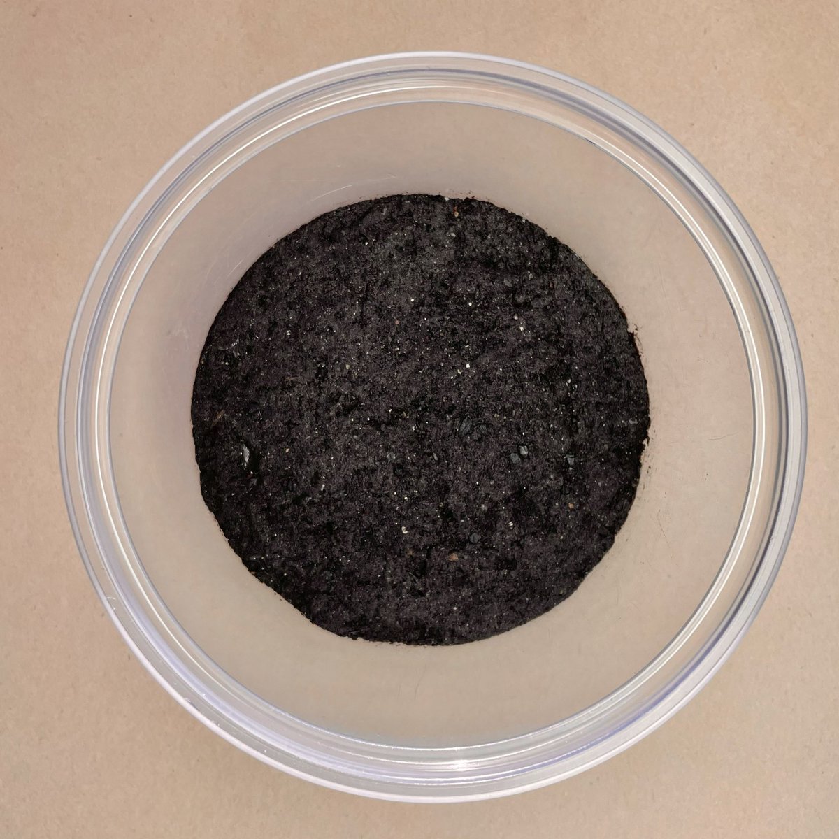 crevicedwelling's tweet photo. I breed a lot of isopods in deli cups. that might seem small, but can hold ~5-10 adults depending on species, perfect for the small populations in the early stages of breeding mutant morphs.
a short guide to how I make cups:
1. compact some soil until firm https://t.co/KladctHvfi