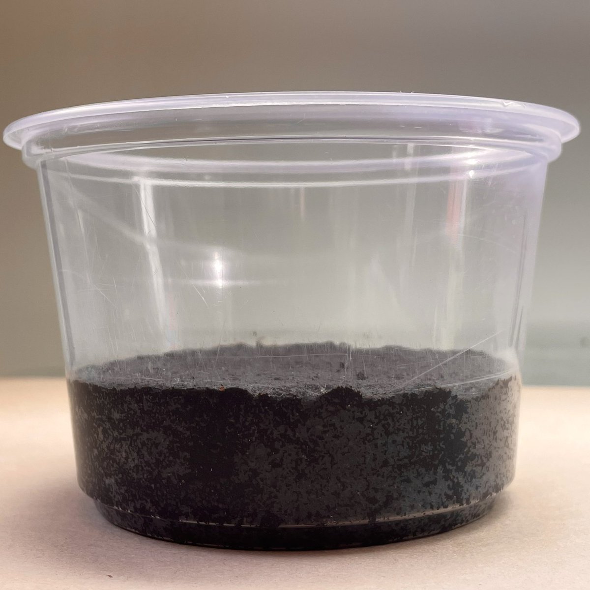 crevicedwelling's tweet photo. I breed a lot of isopods in deli cups. that might seem small, but can hold ~5-10 adults depending on species, perfect for the small populations in the early stages of breeding mutant morphs.
a short guide to how I make cups:
1. compact some soil until firm https://t.co/KladctHvfi