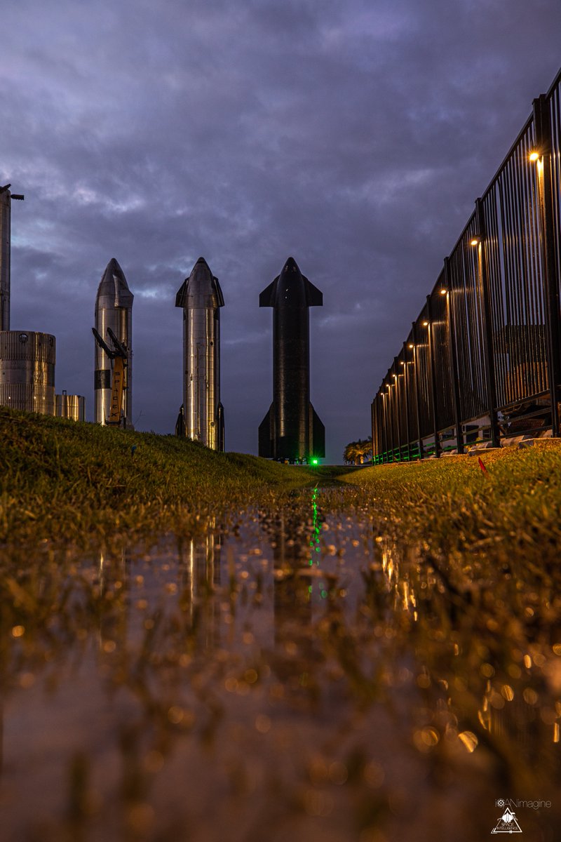 Starbase Surfer tweet media