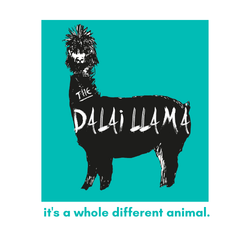 gdgpos's tweet photo. We're excited to announce that the in person portion of our #DevFest event will be held at the Dalai Llama in One Woodbrook Place!! Looking forward to see you there! RSVP at https://t.co/cj7aThDhTD

#devfest2022 #DevFestCaribbean https://t.co/WiBjgCMKDt