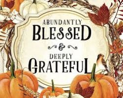 macguyvermedia's tweet image. 84/365 special #Thanksgiving #givebackchallenge  🦃🙏 

$100 to one lucky winner. 🔥

We all have to be thankful to be alive and spend time with family.

Rules: Tag why are you were thankful to a friend or family

Ends in 48 hours. Good luck and have a blessed day 🙏