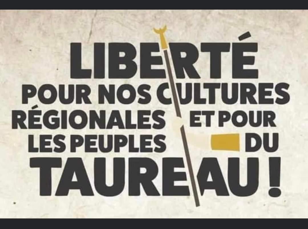FabriceMaireAdj's tweet photo. #ouialacorrida oui a nos #traditions notre #culture nos #territoires @pbi34lmr @LMRHerault @LMROccitanie @PatrickVignal @j_aficionados @RemiDumas34 https://t.co/CwHlNAuIo1
