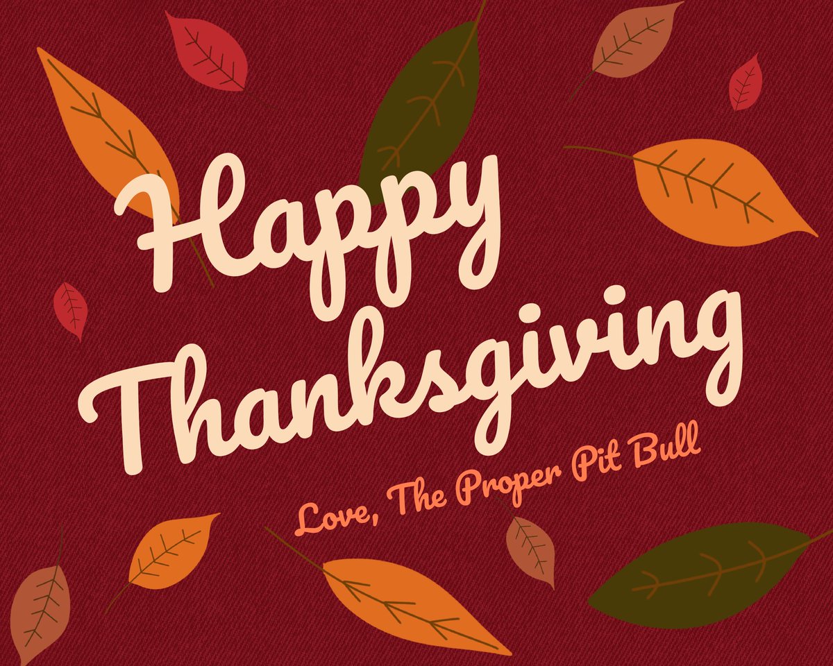 The Proper Pit Bull tweet media