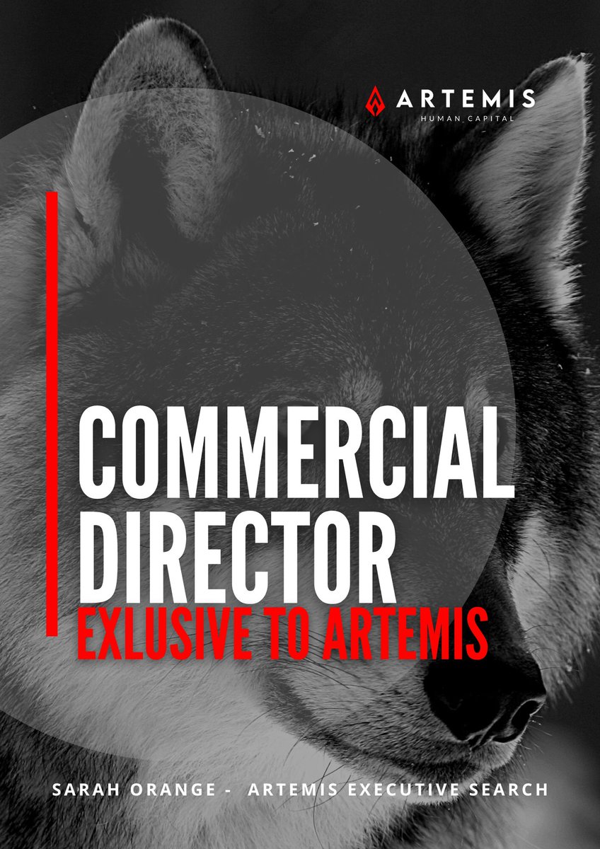 Artemis Executive Search has been exclusively retained by a highly successful PE backed business to appoint a Commercial Director who is coming from a finance background. Based in Greater Belfast.
 
To hear more on this visit artemis-humancapital.com/job/commercial…