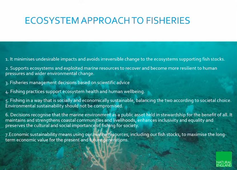 Libby, presenting now at #NEMarine conference: Controversial when NE first proposed it, an ecosystem approach to fisheries is now widely accepted.