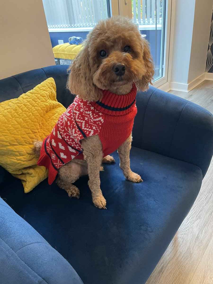 Celebrating a new era for the motherland, in matching colours of hope🇲🇾❤️