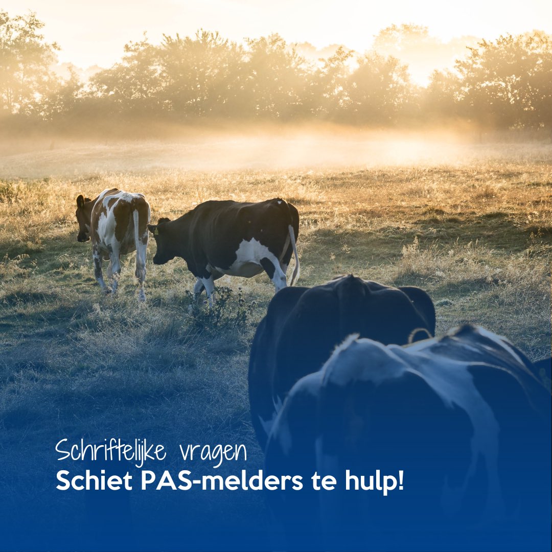 SGPnieuws's tweet photo. "Het Rijk heeft de ellende voor de PAS-melders veroorzaakt, dus rust op het Rijk ook de plicht om te voorkomen dat die PAS-melders omvallen."

De SGP roept de minister op om PAS-melders te hulp te schieten. @BisschopRoelof stelt Kamervragen!

https://t.co/knuUk1HgMr https://t.co/8XlPpUjFaw