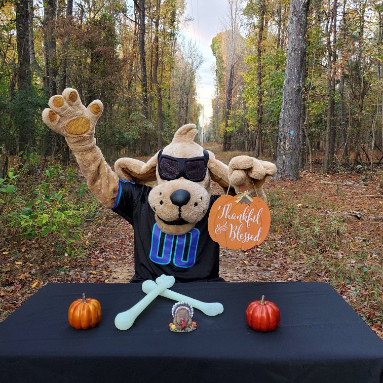 Happy Thanksgiving everyone ! 🦃