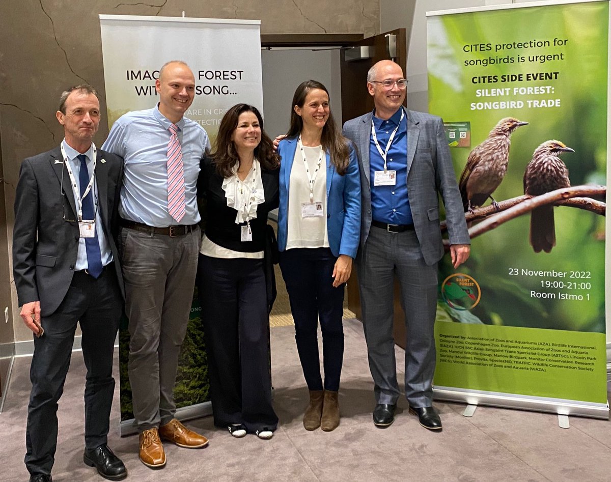 Silent Forest–Songbird Trade side event at #CITESCoP19 brought together experts to discuss the issue. Key takeaway: some great work so far, but big knowledge gaps exist globally and lots more to do collaboratively! Only 1.4% of the world’s 6603 #songbirds are listed on CITES.