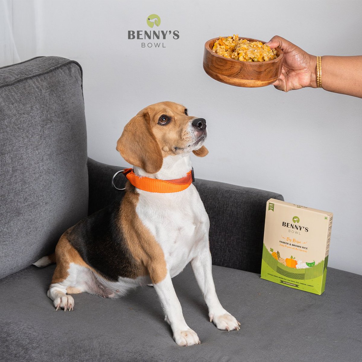 iammypieces's tweet photo. Our paneer and brown rice meal is something every pooch looks up to! 😋🥹
.
.
.
#bennysbowl #humangradetreats #naturaldogfood #humangradedogfood #wetfoodfordogs #wetfood #freshfoodfordogs https://t.co/xwd3bidPV6