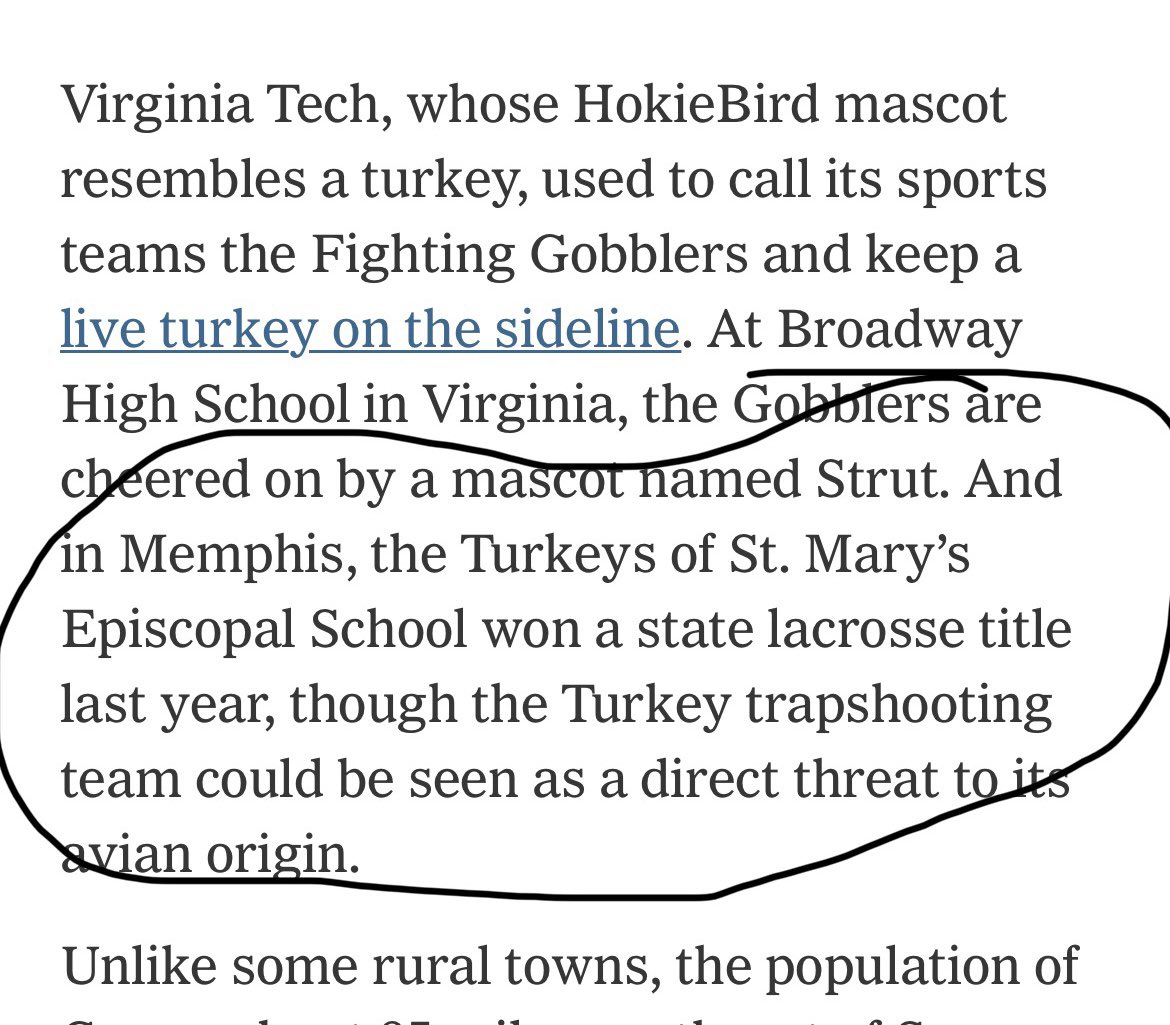 Nice to see our local Turkeys get a shoutout in the NYT.