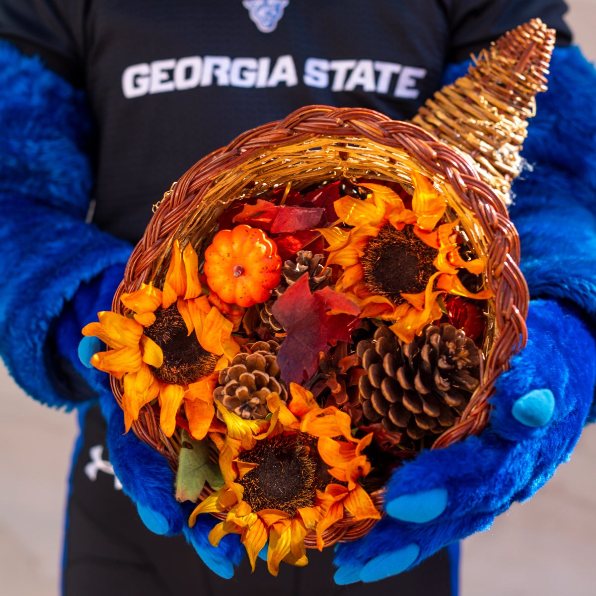 GSUArtSci's tweet photo. We hope that you are having a great break Panthers! 🍂🍁 https://t.co/xYrjCjPIzF