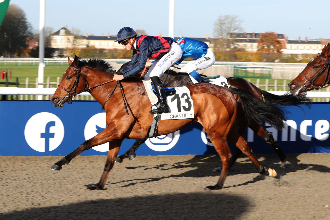 Prix De L Orme Au M3 Prix De L Orme Au M3