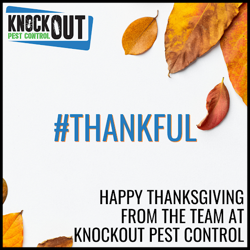 knockoutpest1's tweet photo. We have so much to be #thankful for this year.  To all of our customers who continue to trust Knockout Pest Control for their pest control needs, thank you for your ongoing support.  

Happy Thanksgiving!

https://t.co/I3uV7t4NnF  

#KnockoutPestControl #pests #happythanksgiving https://t.co/KvOeYT4f6S