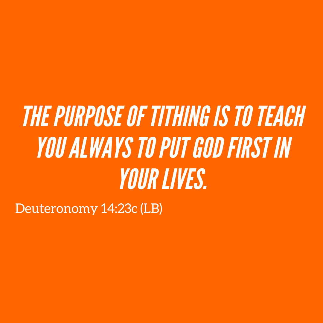 Vineyard N. Phoenix tweet media