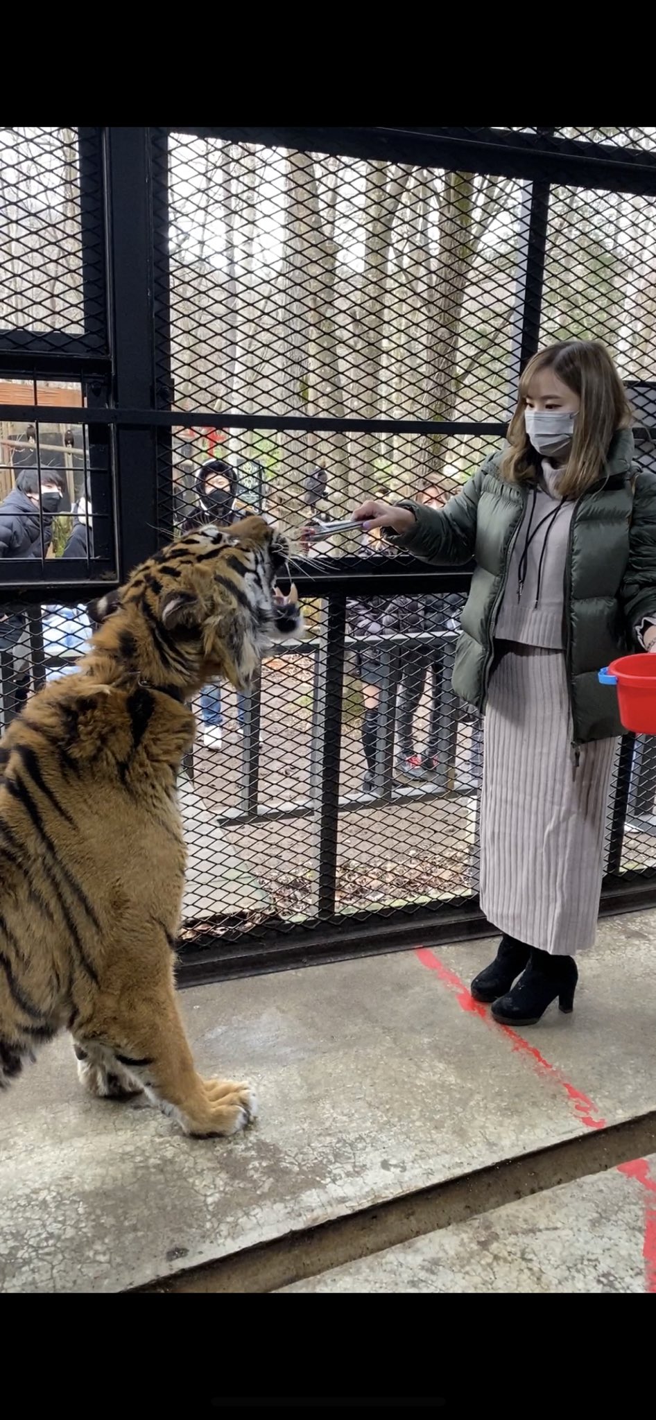 パラサイト旅♡Parasite Trip on Twitter